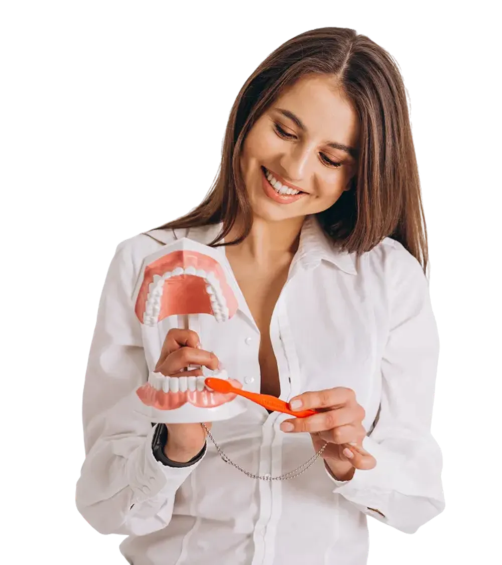 Female dentist brushing a dental prosthesis with a toothbrush.